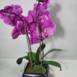 Orchidee sztuczny kwiat 50 cm w doniczce dwupędowy ciemny róż